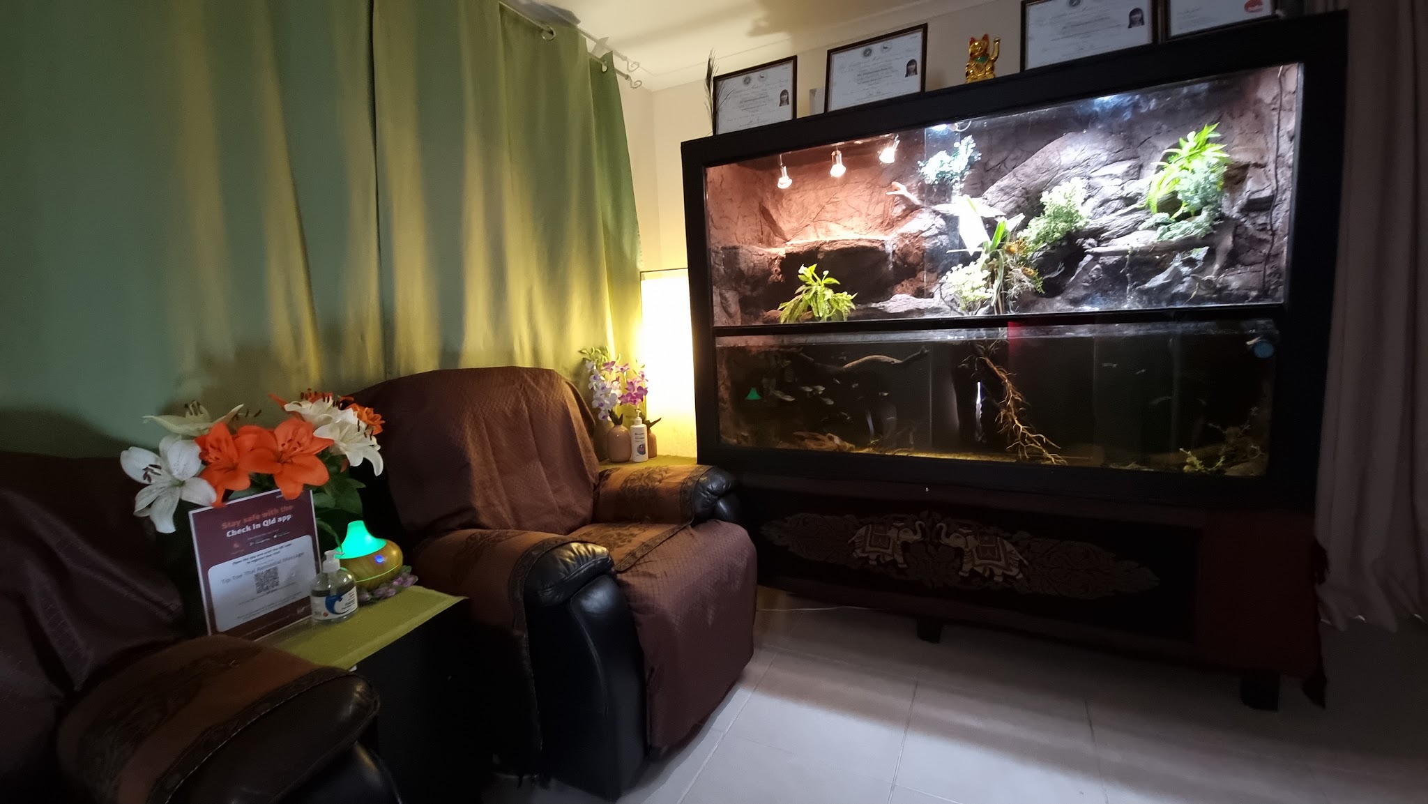 The waiting area with a large planted aquarium and framed certificates
